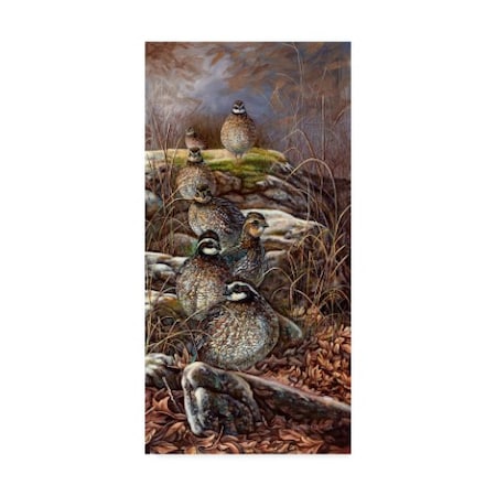 Carolyn Mock 'Quail Trail' Canvas Art,12x24